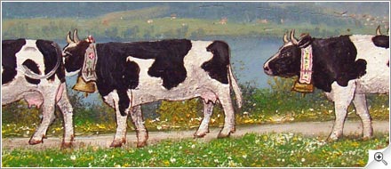 4 vaches et Moléson