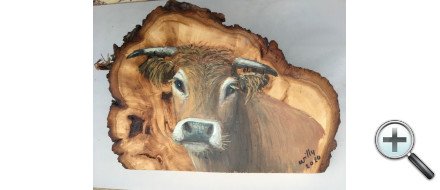 Tête de vache sur bois